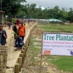 Tree plantation in the camps