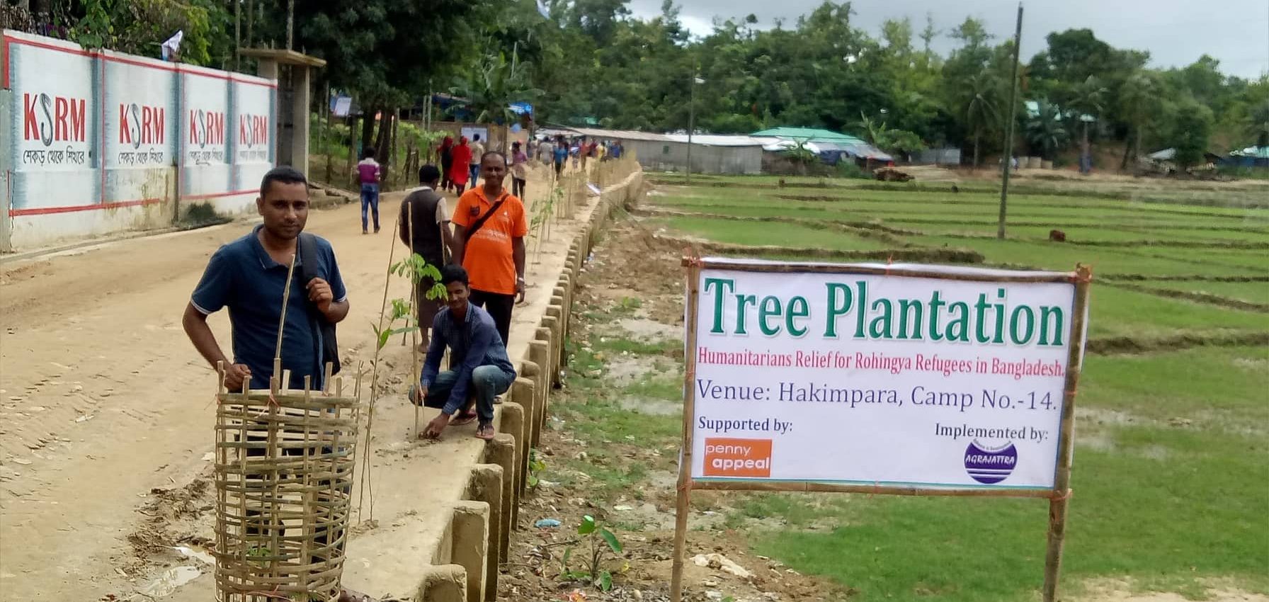 Tree plantation in the camps